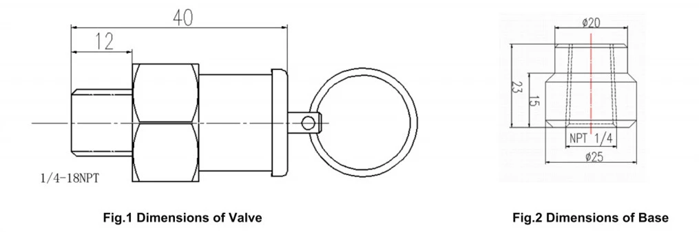 Published outline drawing for the transformer pressure-release valve